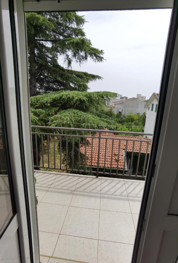 Nikolic Apartment