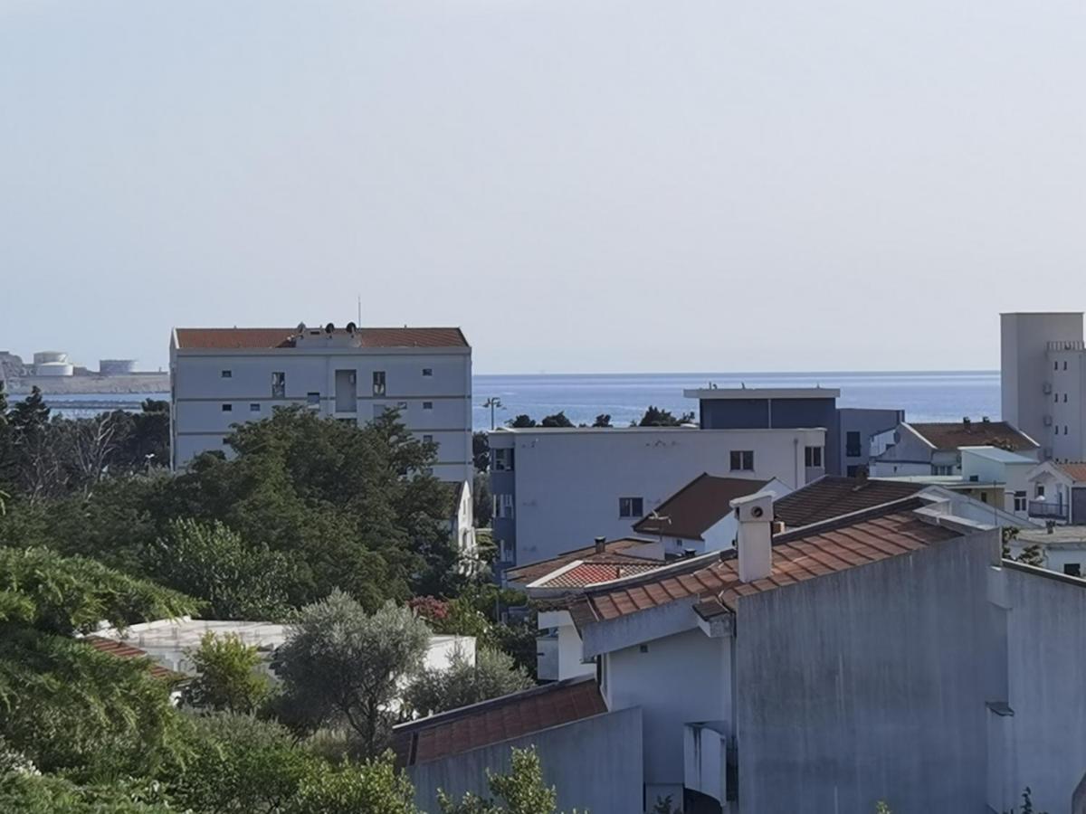 Nikolic * Bar